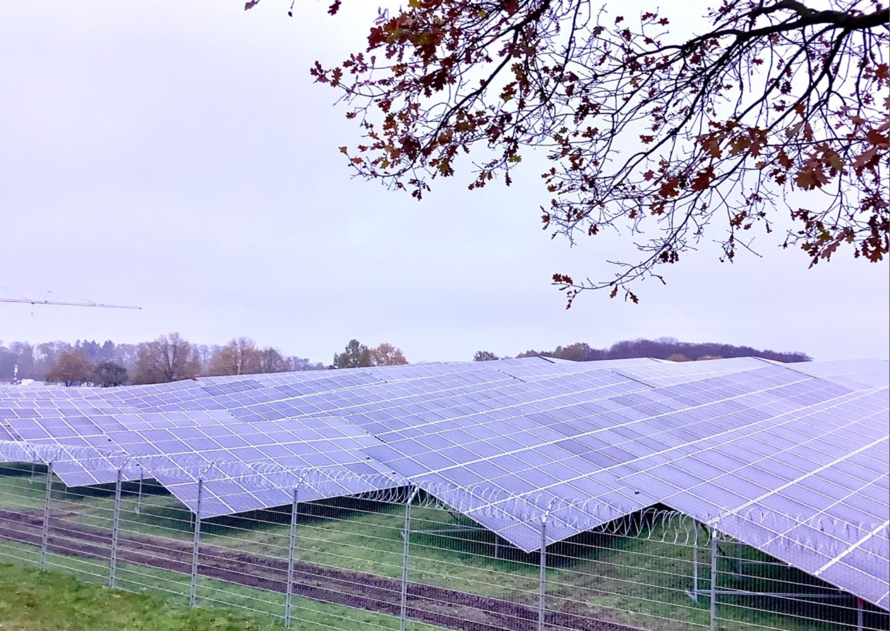 Photovoltaik- Freiflächenanlagen